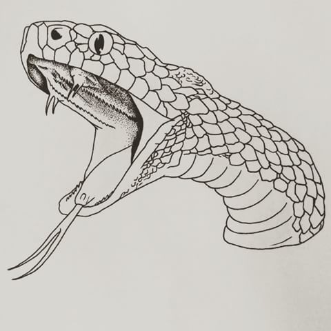 Amazing uncolored snake head tattoo design