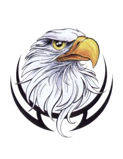 American eagle head in black tribal frame tattoo design