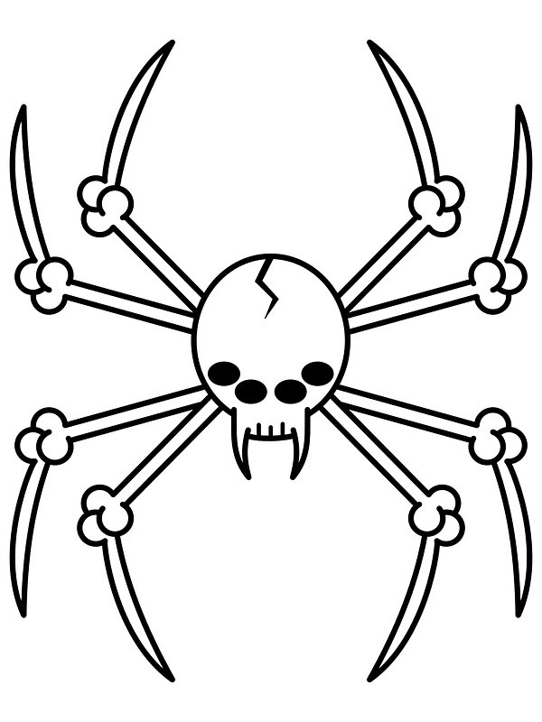 Amuse outline bat skull spider tattoo design