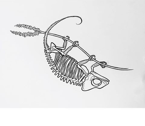 Amuse reversed chameleon skeleton tattoo design