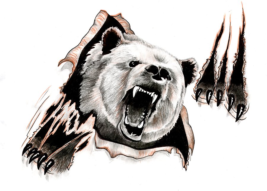 Angry bear tearing from white background tattoo design