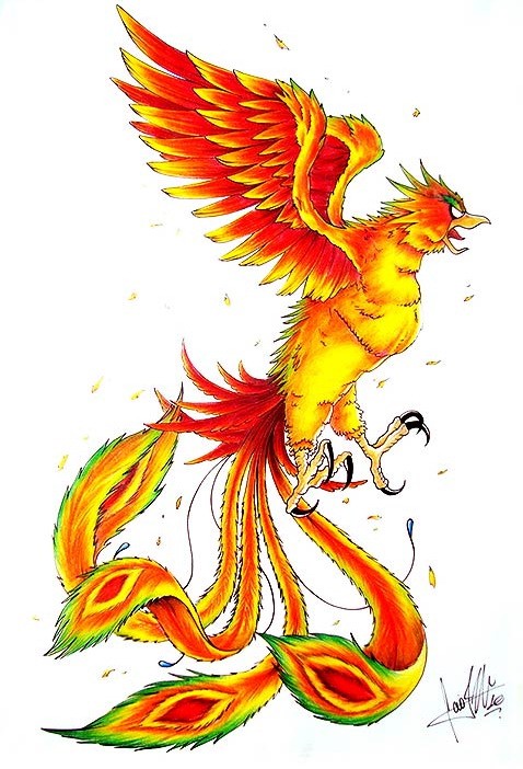 Angry fire-color phoenix with green eyebrows and tail feathers tattoo design