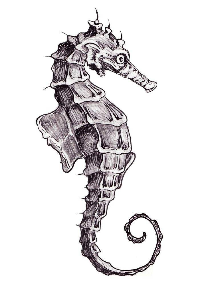 Angry grey-ink seahorse tattoo design