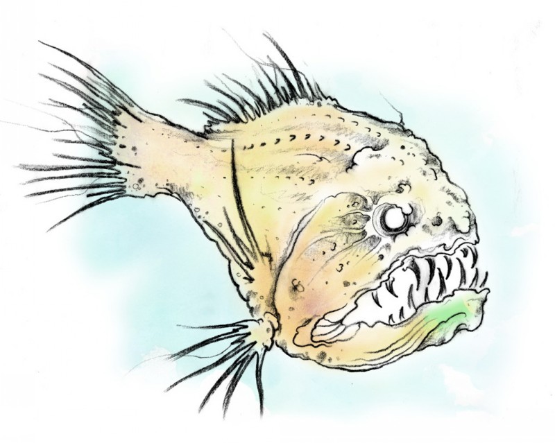 Angry huge yellow sea fish tattoo design