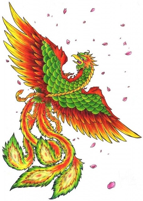 Angry orange-and-green crying phoenix and falling cherry petals tattoo design