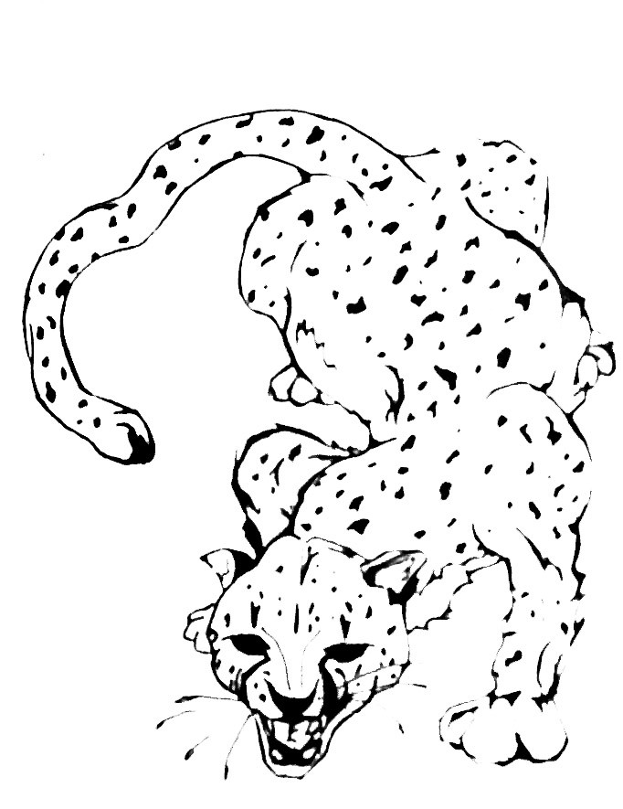 Angry outline gnarling cheetah tattoo design by Dj Angel Boy
