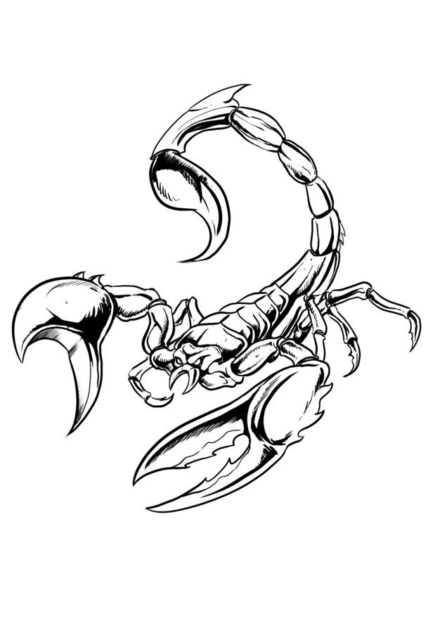 Animated colorless scorpion tattoo design
