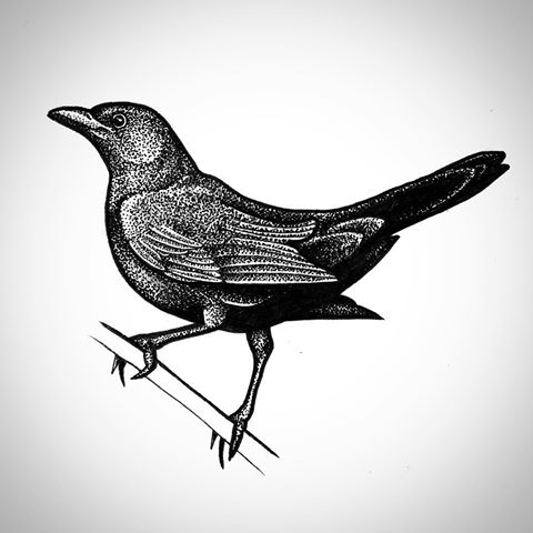 Attractive black dotwork bird sitting on white branch tattoo design
