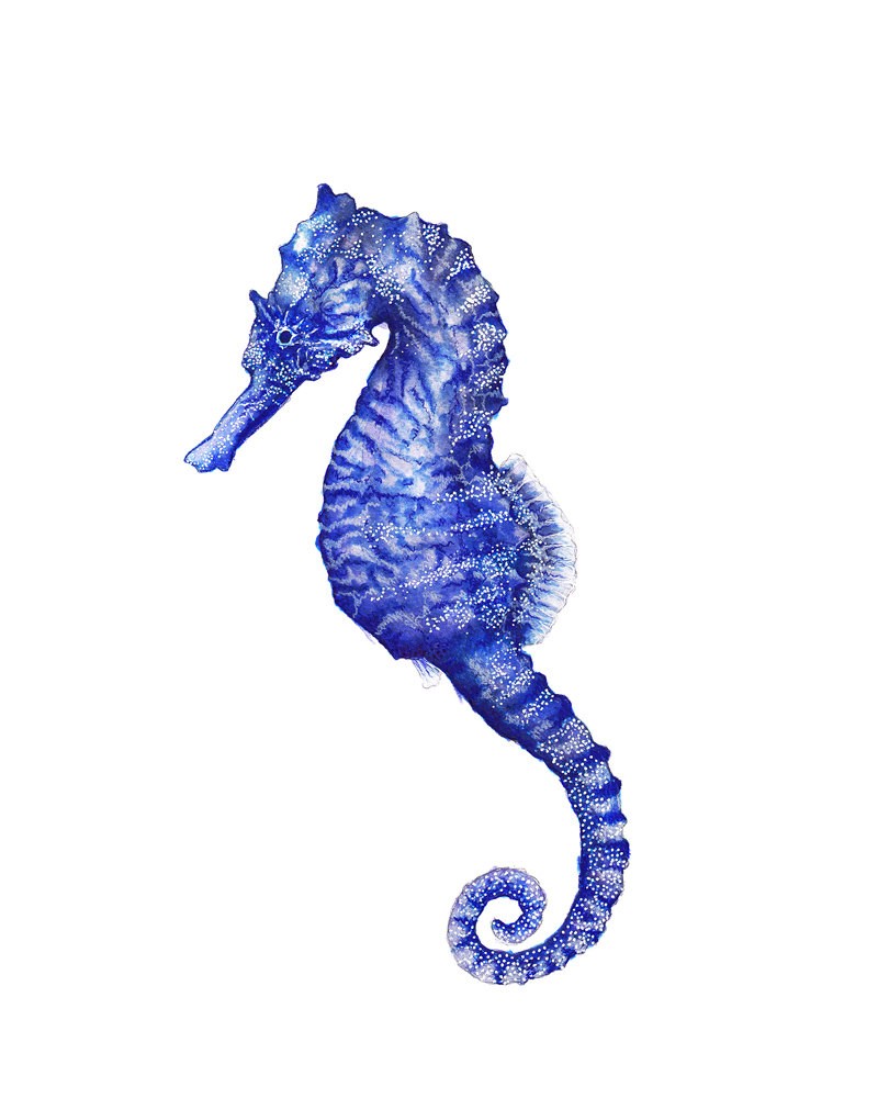 Attractive blue seahorse with white dotted stripes tattoo design