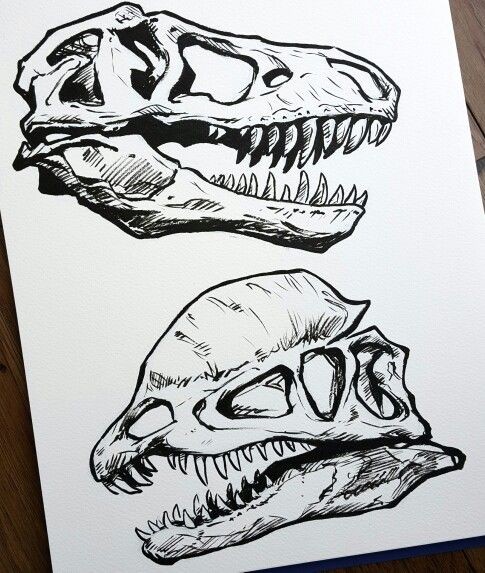 Attractive dinosaur skull tattoo designs