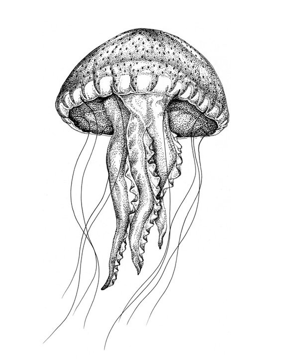 Attractive dotwork jellyfish tattoo design