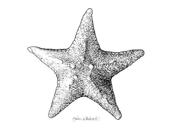 Attractive grey-ink starfish with light print tattoo design