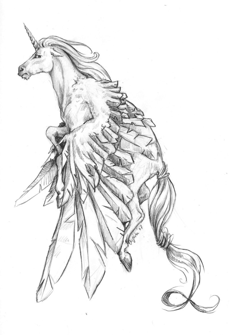 Atraente lápis cinza pegasus com asas levantadas tatuagem desenho