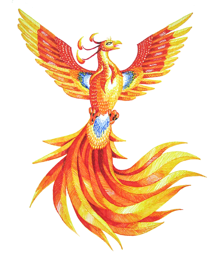 Attractive orange phoenix with blue parts tattoo design by Shadee