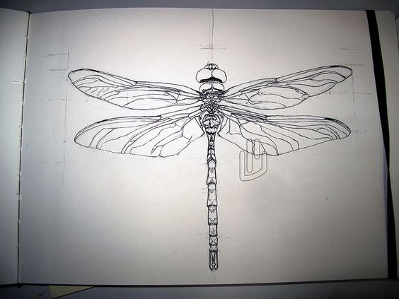 Attractive outline dragonfly tattoo design