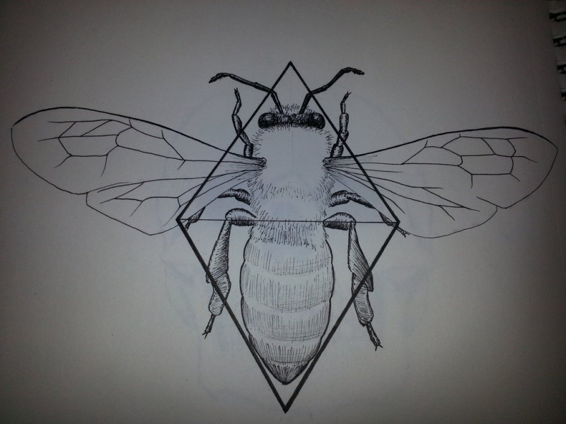 Attractive uncolored honey bee on rhombus background tattoo design by Kaewhat
