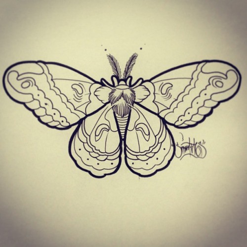 Attractive uncolored moth with fluffy horns tattoo design