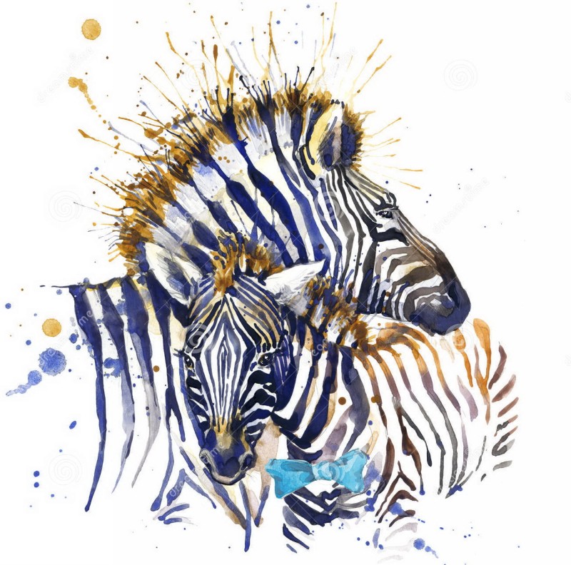 Attractive watercolor embracing zebra couple tattoo design