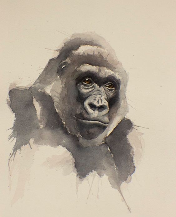 Attractive watercolor gorilla portrait tattoo design
