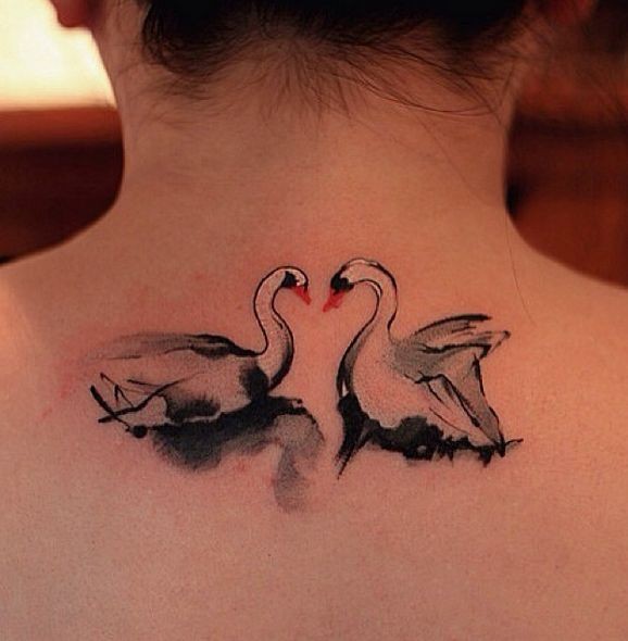 Attraktives weißes Schwan Paar Tattoo am oberen Rücken