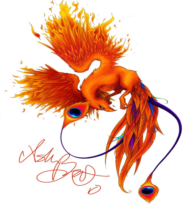 Awesime bright orangre phoenix with blue single featers tattoo design by Kuragarikurasu