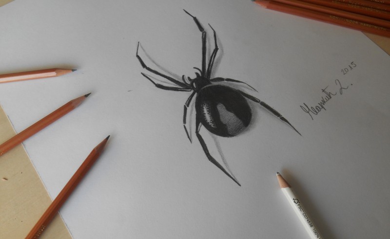 Awesome black fat-belly spider tattoo design