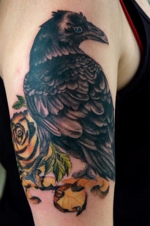 eccezionale corvo nero con rose gialla tatuaggio su spalla