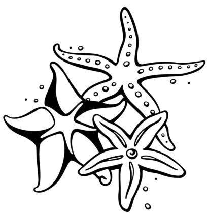 Awesome colorless starfish trio tattoo design