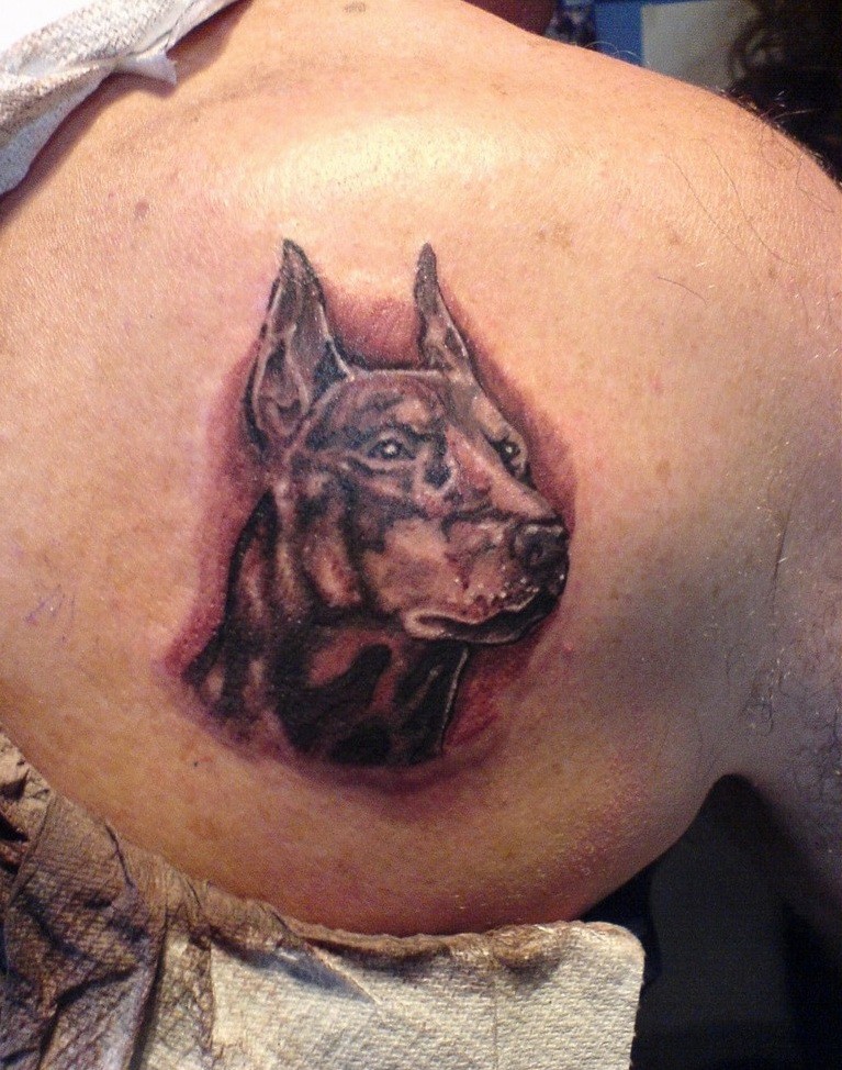 Schultarblatt Tattoo mit erstaunlichem Dobermannkopf