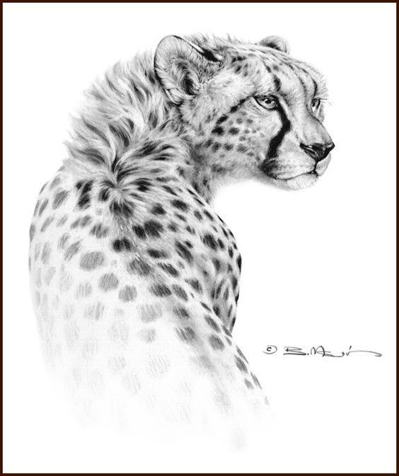 Awesome grey-ink cheetah turn its back tattoo design