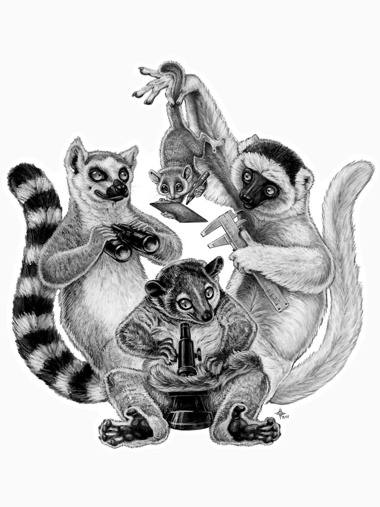 Awesome grey-ink lemur company with measuring instruments tattoo design