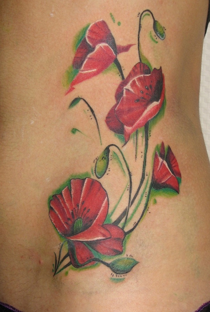 Awesome pale red poppy flower on stems tattoo on side