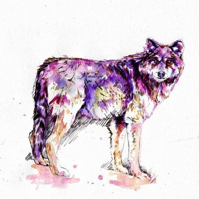 Awesome purple-color wild animal tattoo design