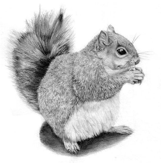 Awesome realistic black-and-white squirrel tattoo design