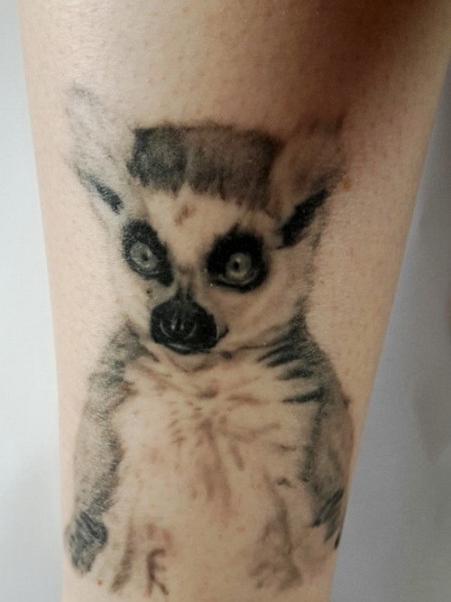 Tatuaje en la pierna,
lémur precioso realista, tinta gris