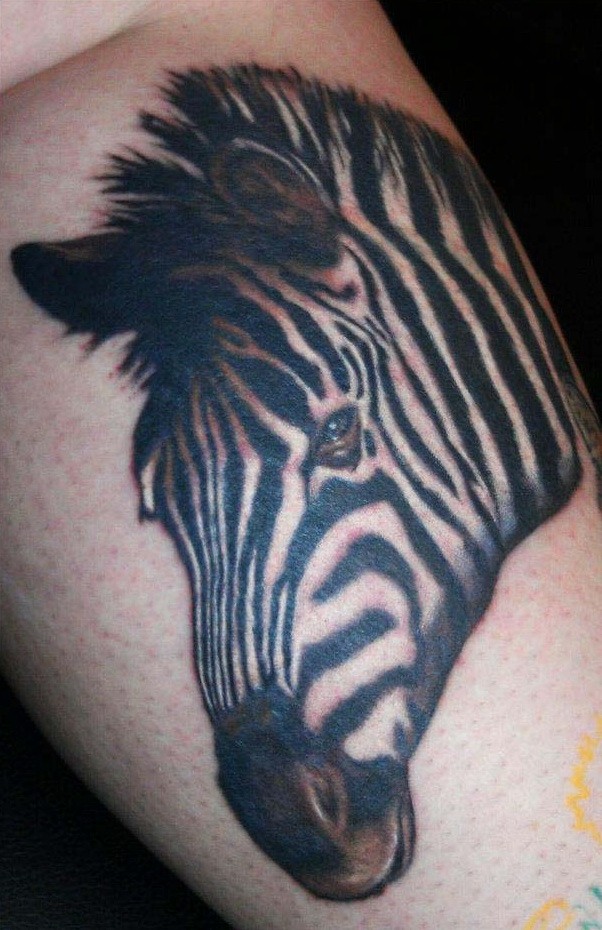 Toller realistischer Zebrakopf Tattoo am Schienbein