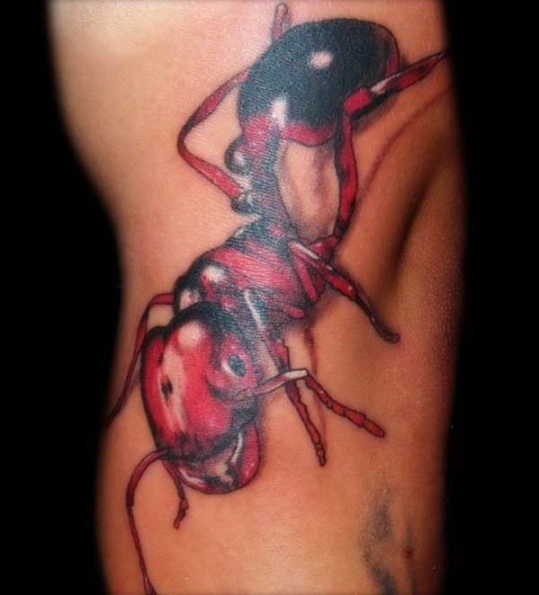 Awesome red-and-black-ink ant tattoo on leg