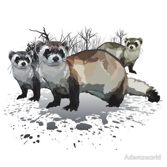 Awesome rodent trio standing on splash puddle tattoo design