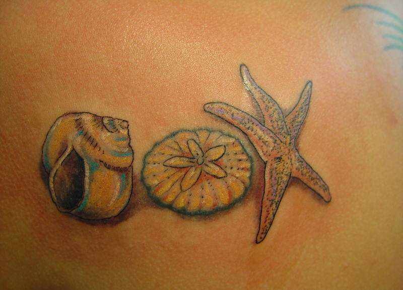 eccezionale conchigli e stella marina tatuaggio femminile su lato