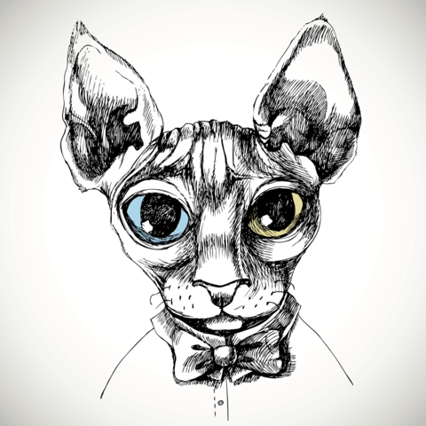 Awesome sphynx cat different eye color tattoo design
