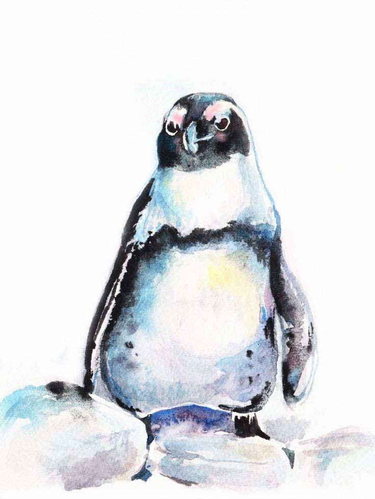 Awesome watercolor penguin with pink eyebrows tattoo design