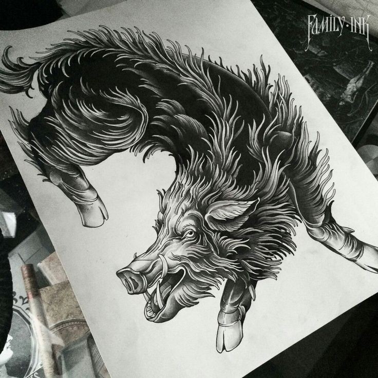 Beautiful black-ink fluffy wild pig tattoo design
