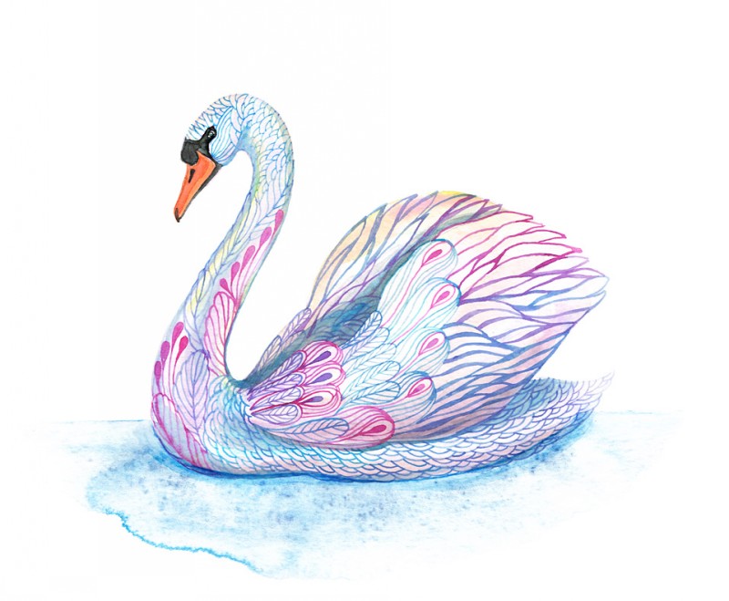 Beautiful blue-and-pink swan swimming in lake tattoo design