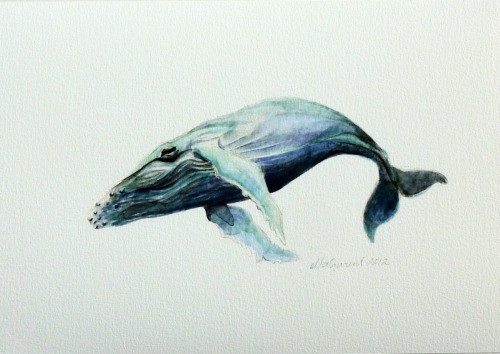 Beautiful blue flying whale tattoo design