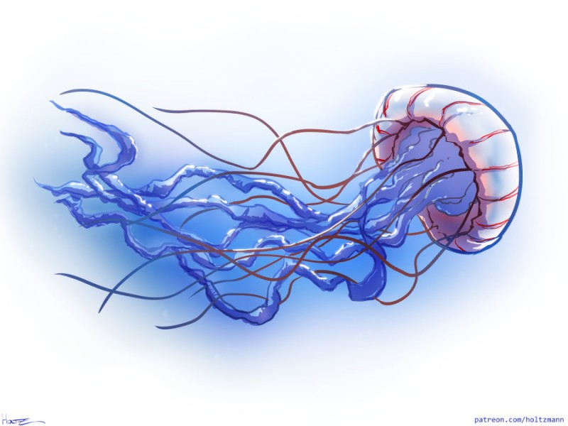 Beautiful blue jellyfish with vinous veins tattoo design