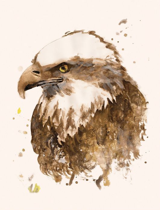 Beautiful brown watercolor eagle portrait tattoo design
