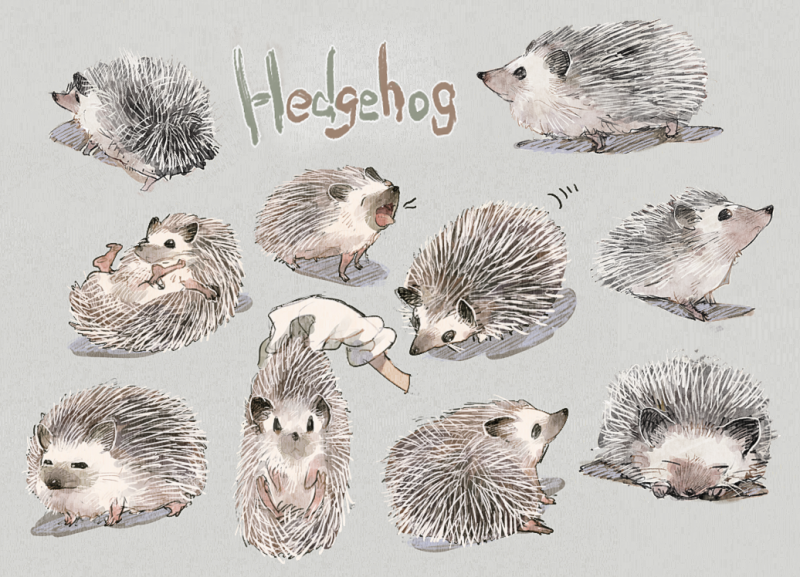 Beautiful colored hedgehogs in different poses tattoo design