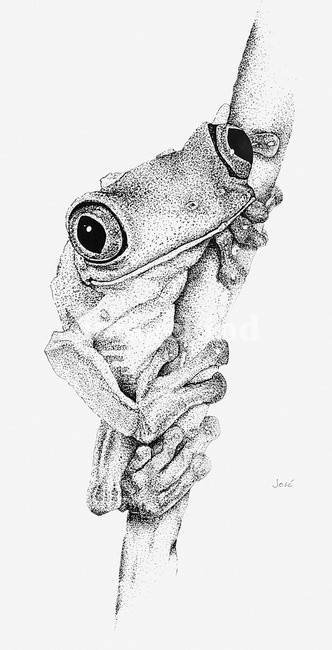 Beautiful dotwork frog keeping on vertical branch tattoo design