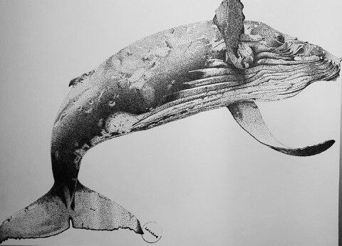 Beautiful dotwork jumping whale tattoo design