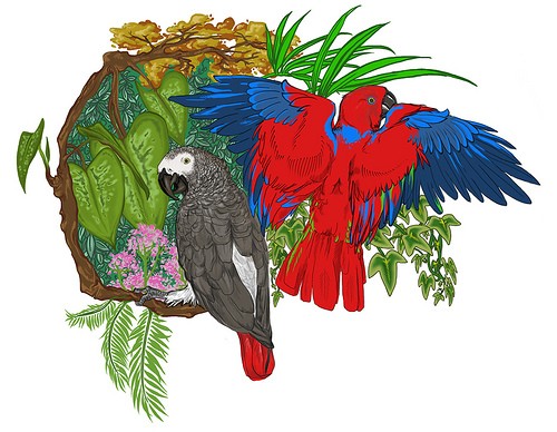 Beautiful multicolor parrots on tropic nature background tattoo design